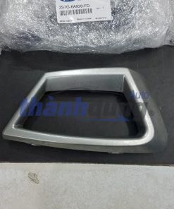 ỐP TRANG TRÍ CẢN TRƯỚC FORD FIESTA