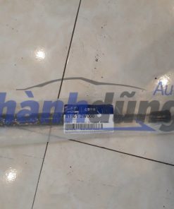 TI CHỐNG NẮP CAPO SANTAFE