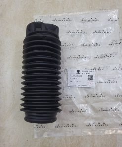 CAO SU CHỤP BỤI PHUỘC NHÚN PEUOGET 301