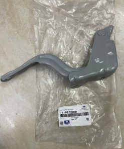 BẢN LỀ CAPO PHỤ XE HYUNDAI ELANTRA | 79120-F2000