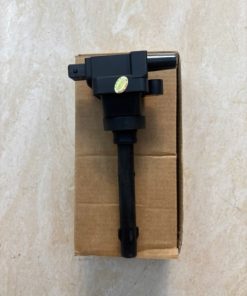 BÔ BIN ĐÁNH LỬA XE TERA T100 | 2408013SND